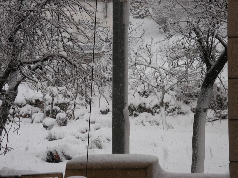 صورة لقرية سنجل - فلسطين: : picture of snow in village sinjil