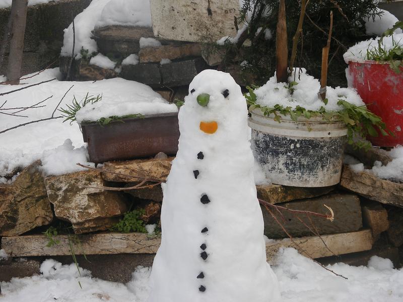 صورة لقرية سنجل - فلسطين: : snow man in sinjil