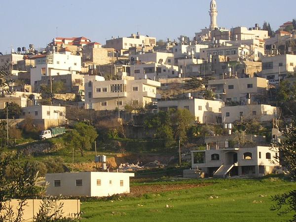 صورة لقرية سنجل - فلسطين: : منظر عام