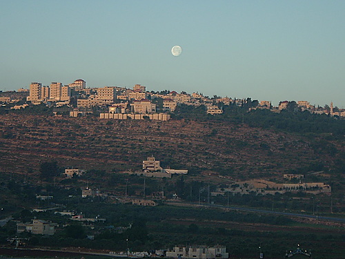 صورة لقرية سنجل - فلسطين: : منظر عام