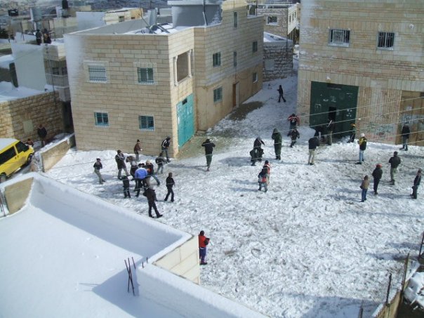 صورة لقرية تقوع - فلسطين: : عائلةالشاعر