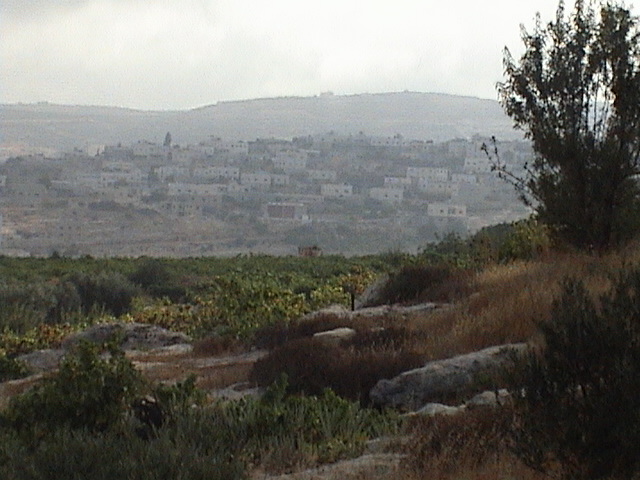 صورة لقرية ترقوميا - فلسطين: : منظر عام. 9-8-2006