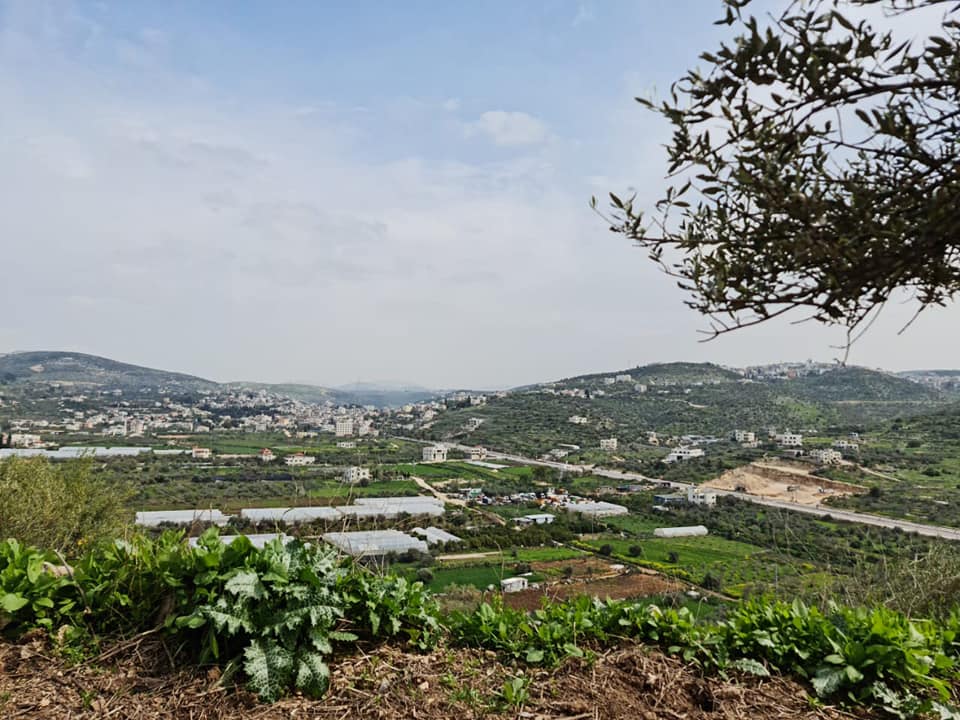 صورة لقرية ذنابة - فلسطين: : ربيع -2022 #4