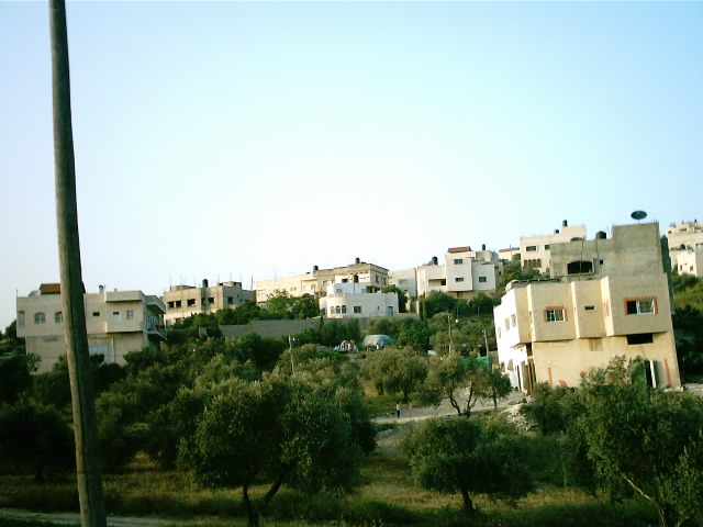 صورة لقرية يعبد - فلسطين: : منطقة الكروم بجوار المسجد شمالي غربي المدينة صيف عام 2005