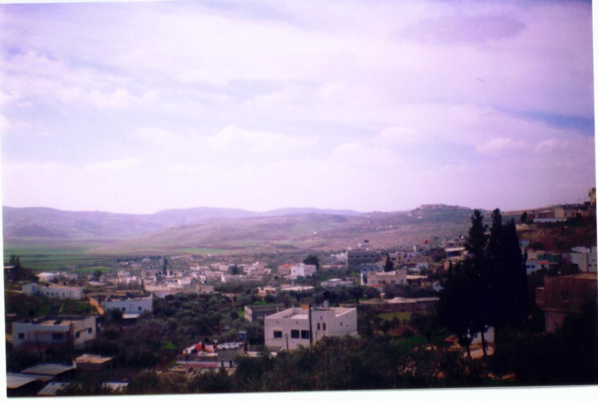 صورة لقرية عجه - فلسطين: : منظر عام