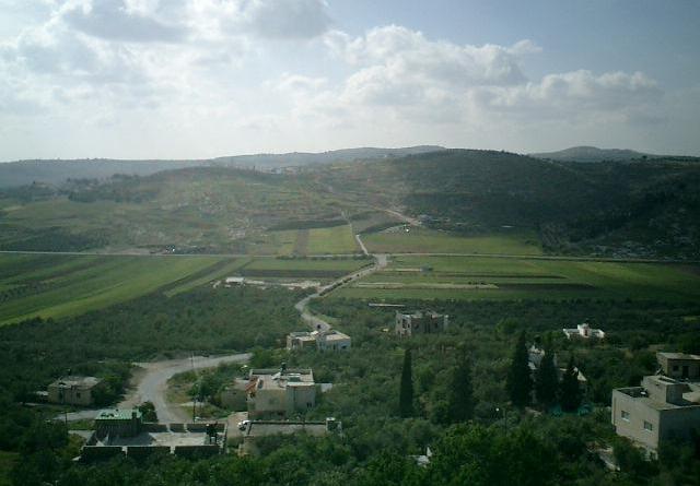 صورة لقرية عنزه - فلسطين: : منظر عام