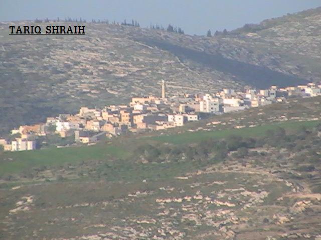 صورة لقرية عنزه - فلسطين: : عنزا من سيلة الظهر
