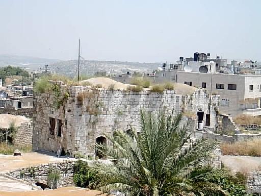 صورة لمدينة عرابه - فلسطين: : منظر عام غي البلدة القديمة