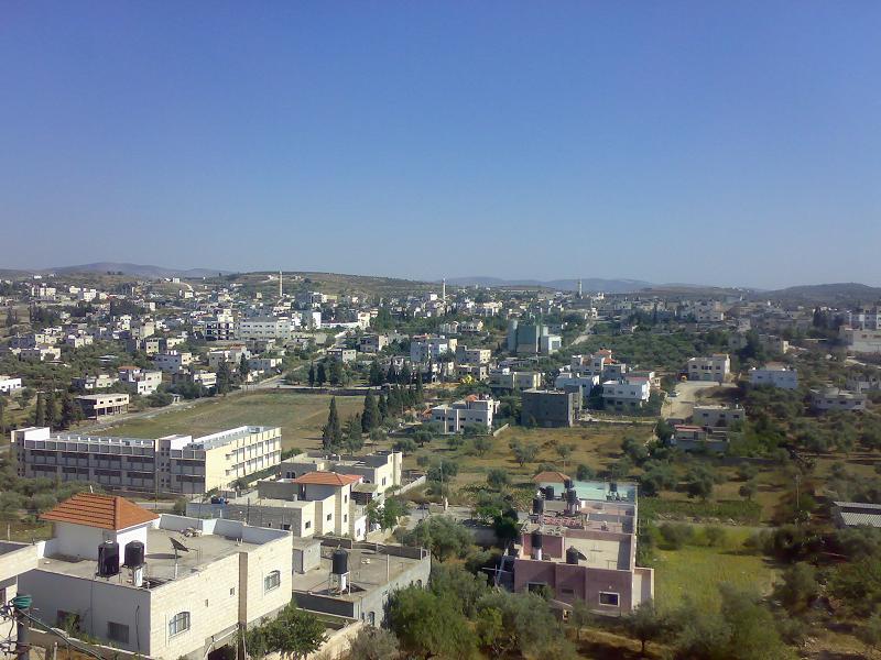 صورة لمدينة عرابه - فلسطين: : منظر عام