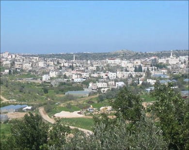 صورة لقرية عزّون - فلسطين: : Azzun