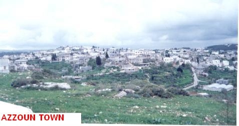 صورة لقرية عزّون - فلسطين: : عزون