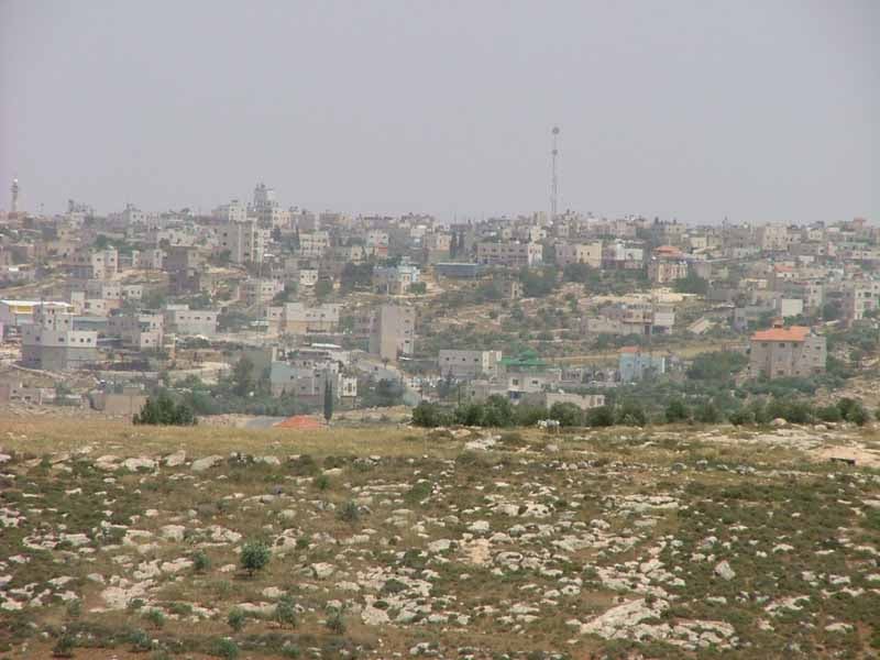 صورة لمدينة الظاهريه - فلسطين: : صورة لمنطقة الشقفان