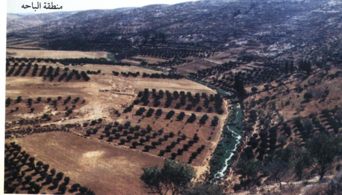 صورة لمدينة الظاهريه - فلسطين: : صورة لمنطقة الباحة