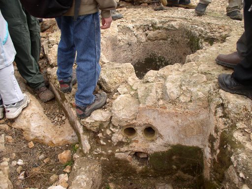 صورة لمدينة الظاهريه - فلسطين: : من آبار طانا