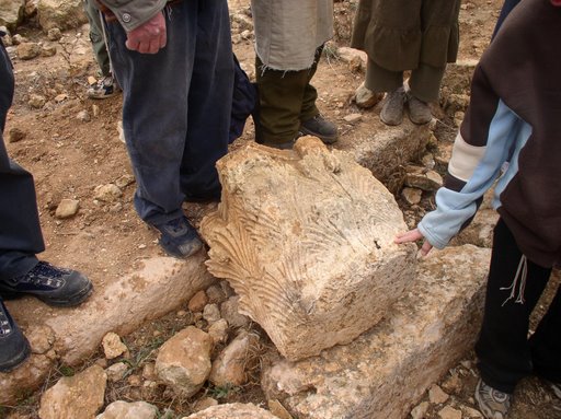 صورة لمدينة الظاهريه - فلسطين: : اثريات
