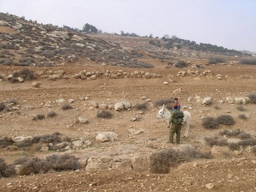 صورة لمدينة الظاهريه - فلسطين: : اهل البلاد يخضعون للمضايقة من الجيش الاسرائيلي