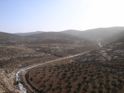 صورة لمدينة الظاهريه - فلسطين: : وادي في جبال الظاهرية