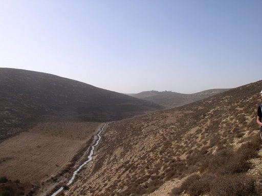 صورة لمدينة الظاهريه - فلسطين: : وادي في جبال الظاهرية