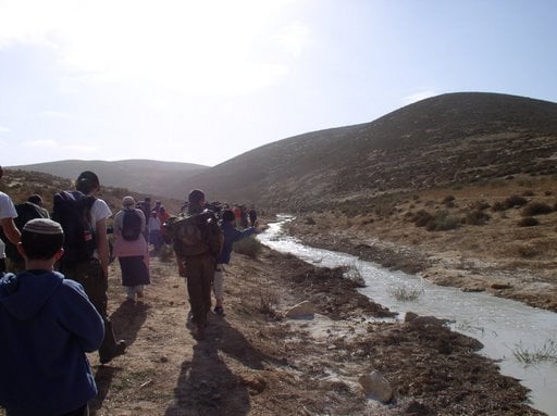 صورة لمدينة الظاهريه - فلسطين: : وادي في جبال الظاهرية والمستوطنون الصهاينة يسرحون ويمرحون في المنطقة