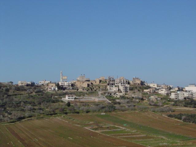 صورة لقرية الجيب - فلسطين: : هذه الصورة أخذت سنة 2001 من الجهة الشرقية من قرية الجيب