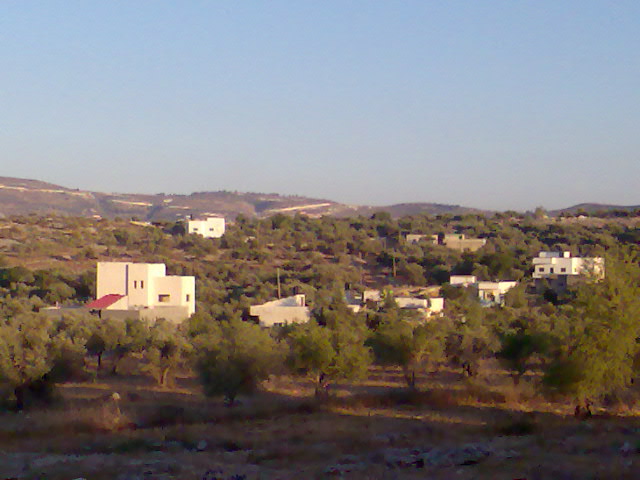 صورة لقرية الرامه - فلسطين: : منظر عام 2