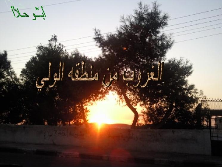 صورة لمدينة السموع - فلسطين: : الغروب من منطقه الولي