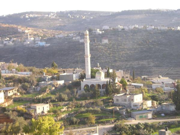 صورة لقرية الطيرة - فلسطين: : atira masjed
