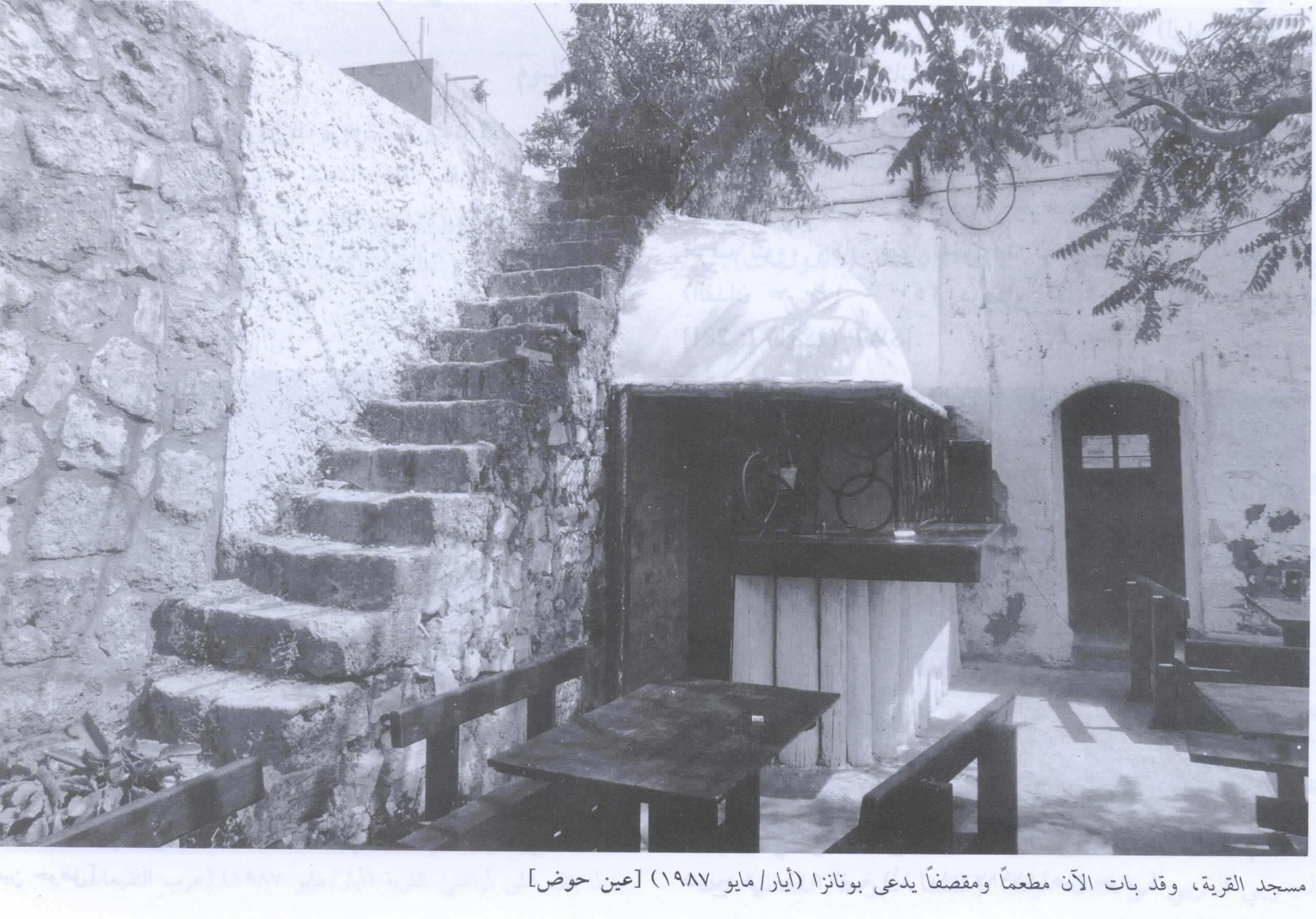 صورة لقرية عين حوض - فلسطين: : جامع القرية المغتصب الذي حوله الاسرائيليون الى بار او مقهى. 1987