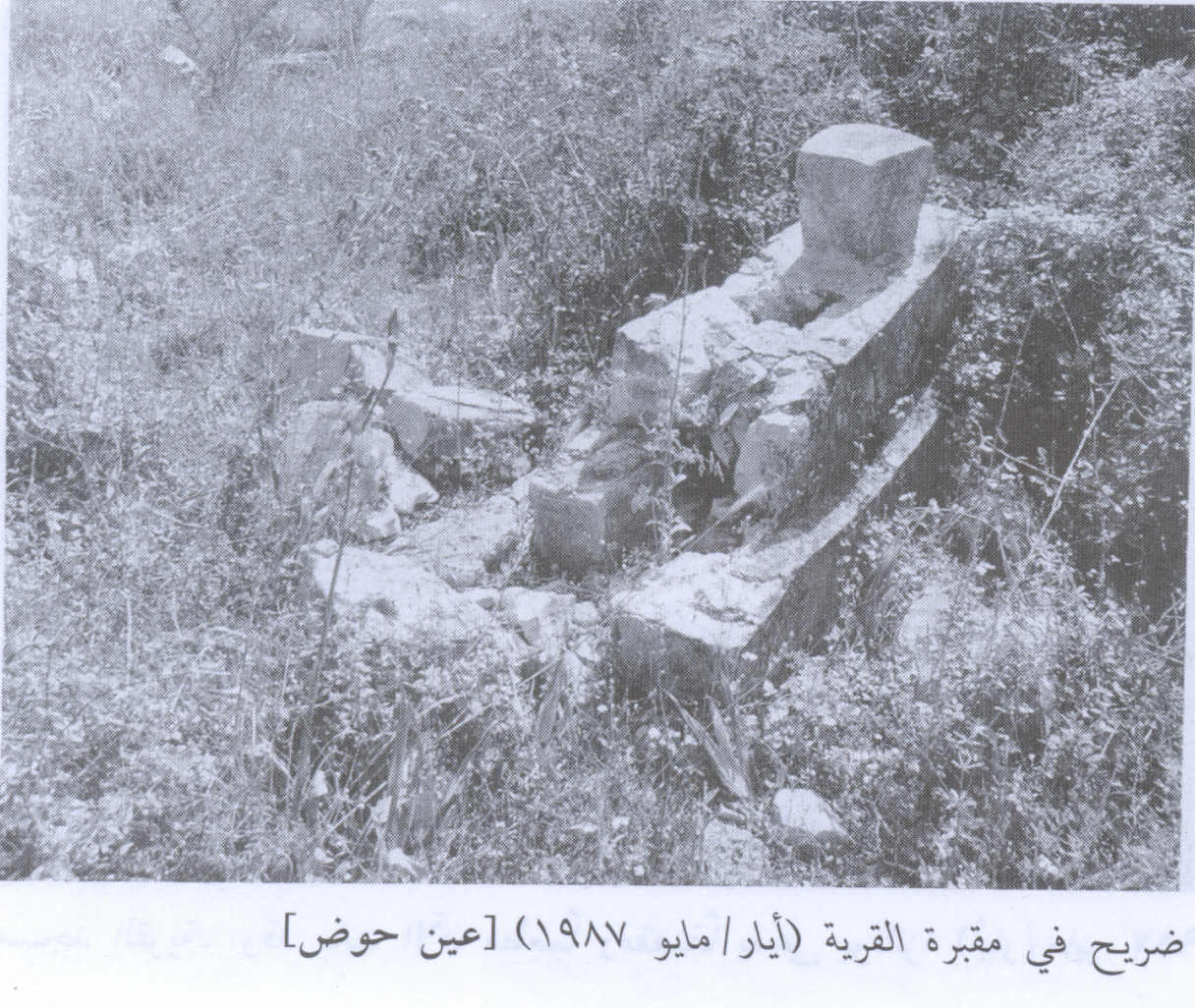 صورة لقرية عين حوض - فلسطين: : قبور القري المغتصبة