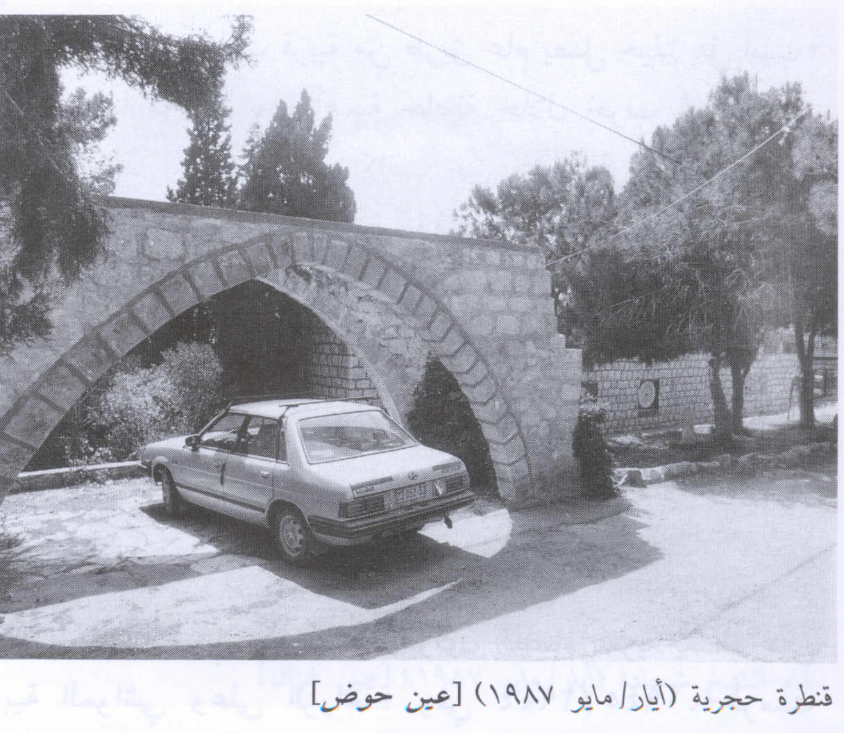 صورة لقرية عين حوض - فلسطين: : منتزه في أراض القرية