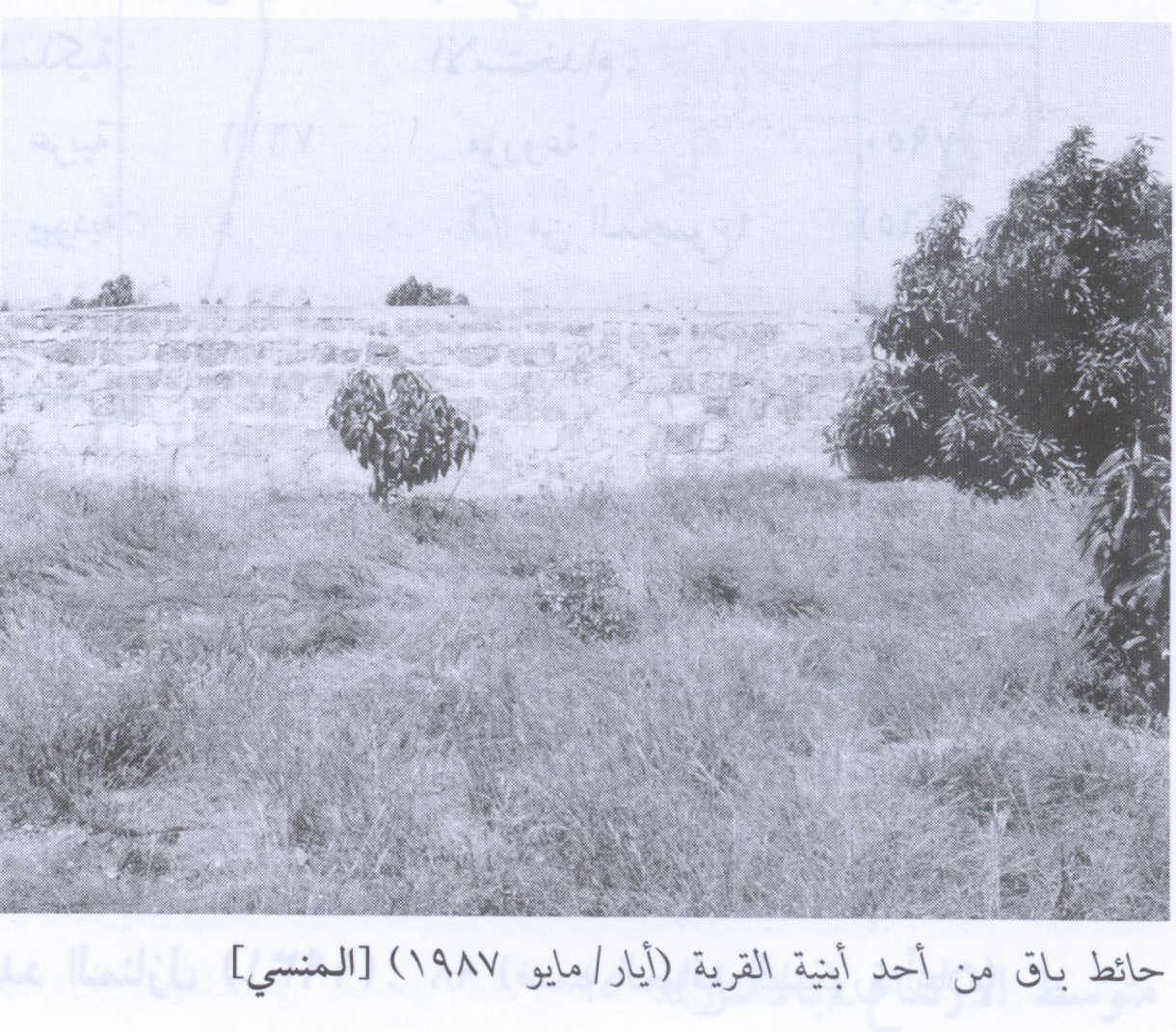 Picture for al-Mansi Village - Palestine: : Remaining Wall From a Village Building In 1987