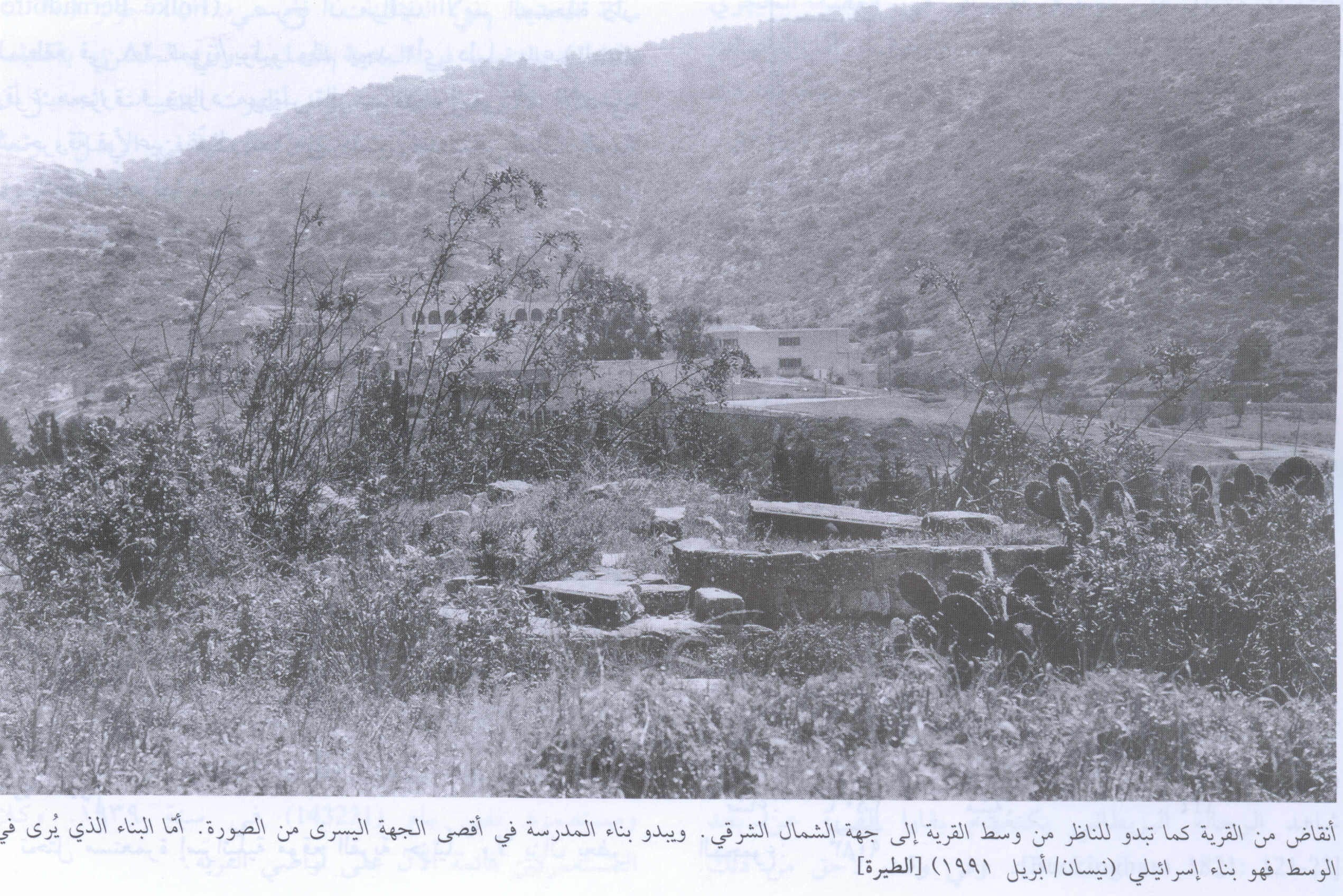 صورة لقرية الطيرة - فلسطين: : منظر الى الشمال الغربي من مركز القرية التي دمرها الصهاينة وطهروا سكانها عرقياً، 1991. مدرسة القرية هي العمارة التي تحتوي على العديد من الاقواس. أطلال دمار بيوت القرية واضحة.