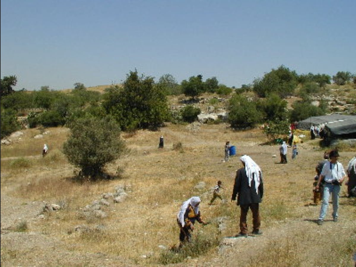 صورة لقرية بيت نتيف - فلسطين: : كالنحل. كل شخص يبحث على اطلال بيته.