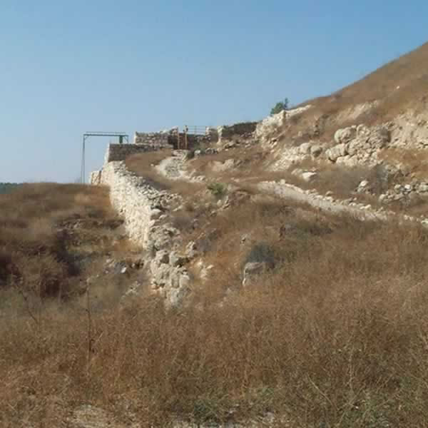 صورة لقرية القبيبة - فلسطين: : الآثار#1