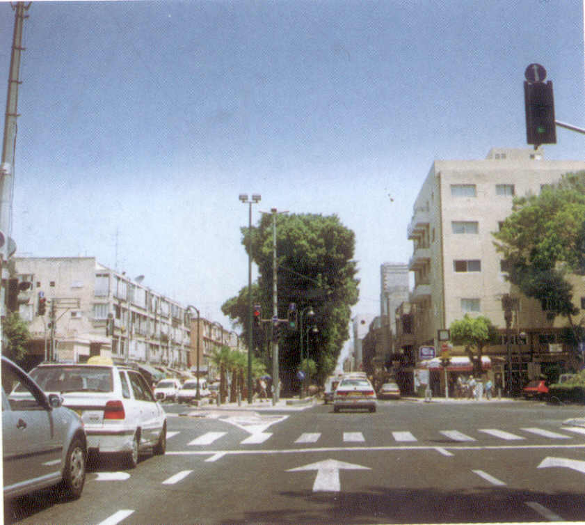 Click to enlarge