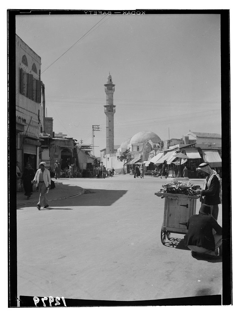 أُنقر الصورة لتكبيرها
