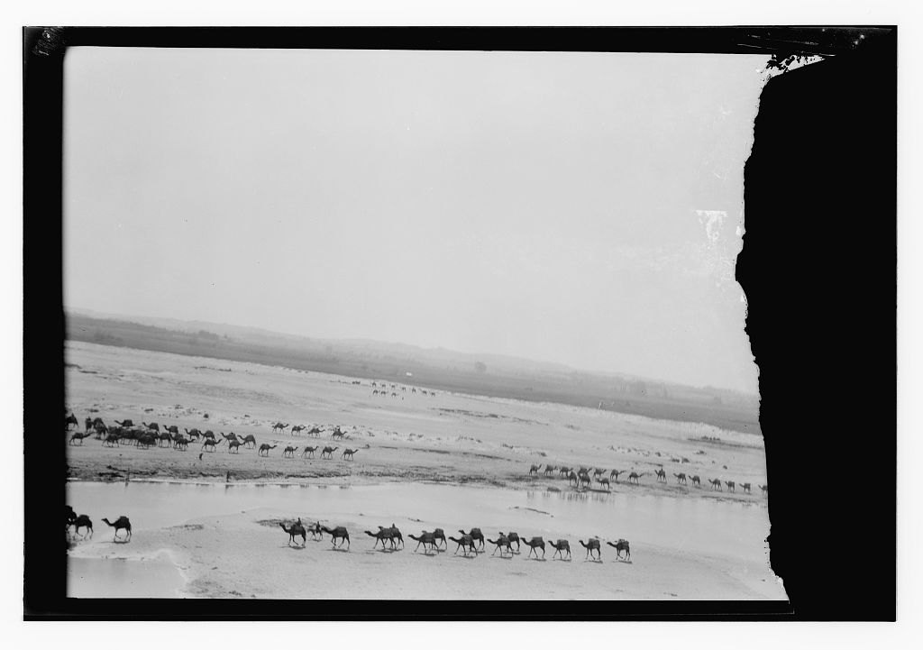Click to enlarge