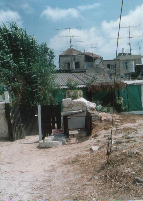 Picture for al-Shaykh Muwannis Village - Palestine: : Shaykh Muwannis Village Looted houses, 1989