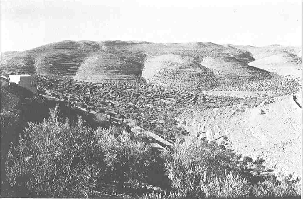 صورة لقرية قالونيا - فلسطين: : التلال والاراضي المحيطة. 1930