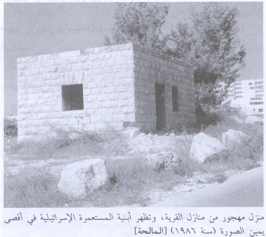 صورة لقرية المالحة - فلسطين: : احدى بيوت القرية المهجرة 1986