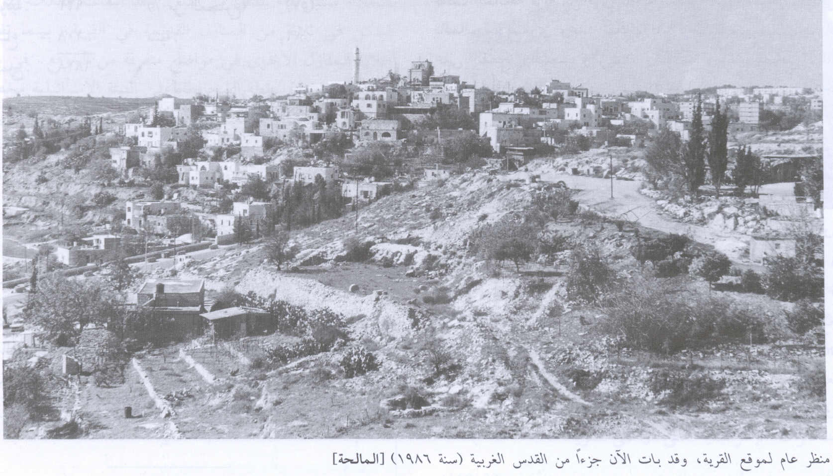 صورة لقرية المالحة - فلسطين: : منظر عام للقرية، اُنقر الصورة لتكبيرها. 1986