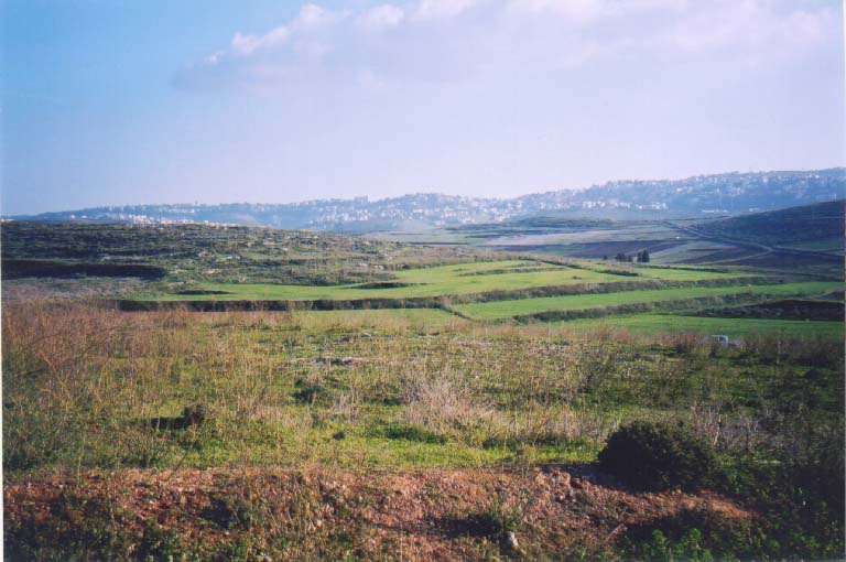 صورة لقرية صفورية - فلسطين: : منظر عام لاراضي القرية وتظهر مدينة الناصرة في الخلف. 2003