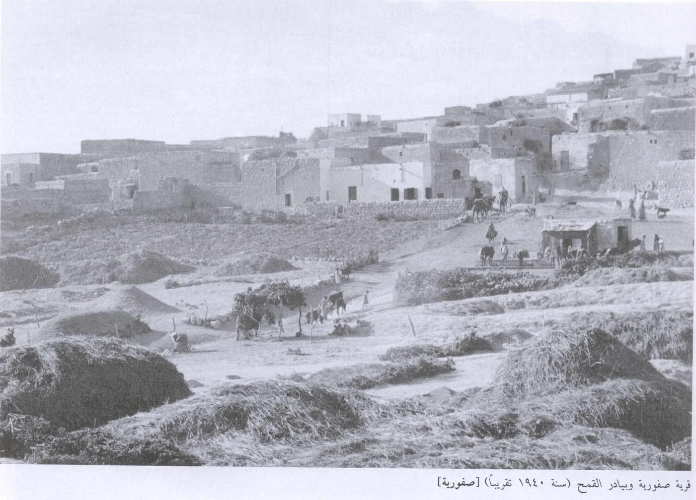 صورة لقرية صفورية - فلسطين: : صورة رائعة للقرية تظر جمال الحياة البسيطة في فلسطين قبل النكبة، اُنقر الصورة لتكبيرها. 1940