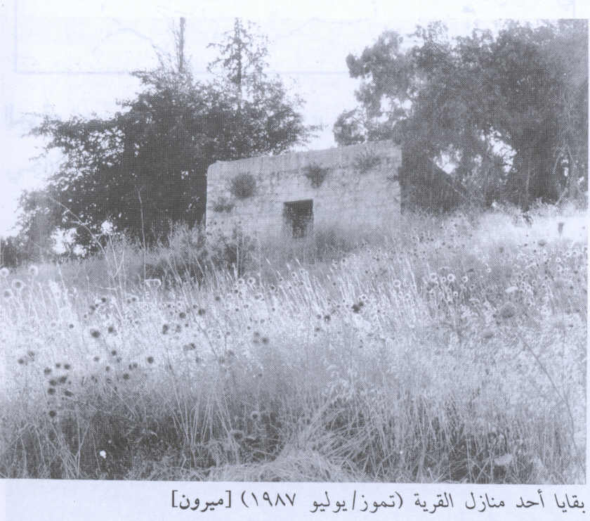 Picture for Mirun Village - Palestine: : Village house remain standing, 1987
