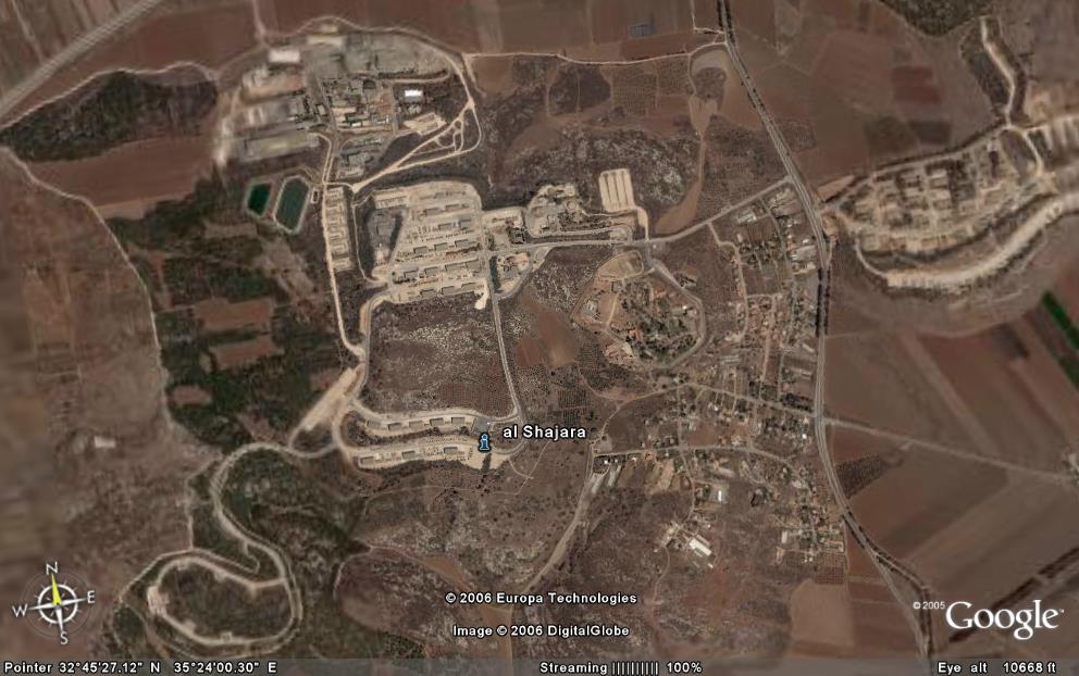 صورة لقرية الشجرة - فلسطين: : نظرة قمر صناعي