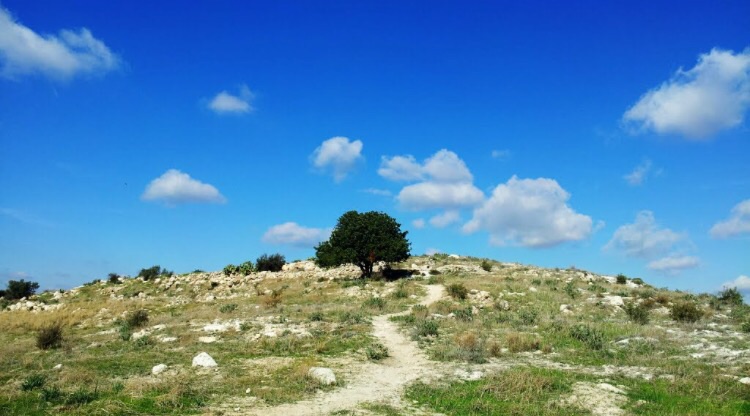 صورة لقرية برفيلية - فلسطين: : موقع القريه