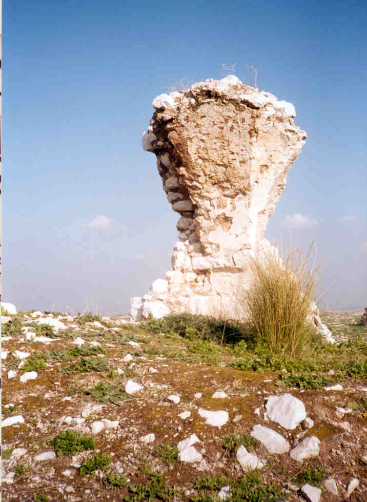 Picture for Majdal Yaba Village - Palestine: : It use to be part of Majdal Yaba, now - a lonely relict!, February 2002