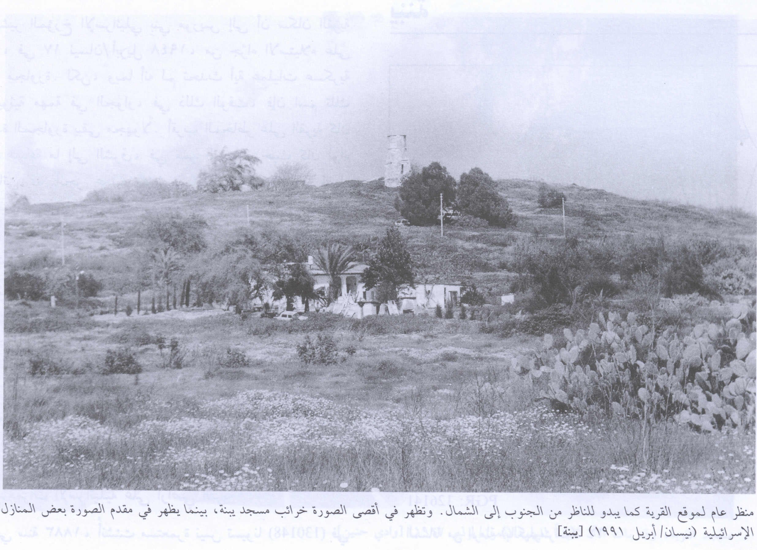Picture for Yibna Village - Palestine: : Village Site And It's Mosque In 1991