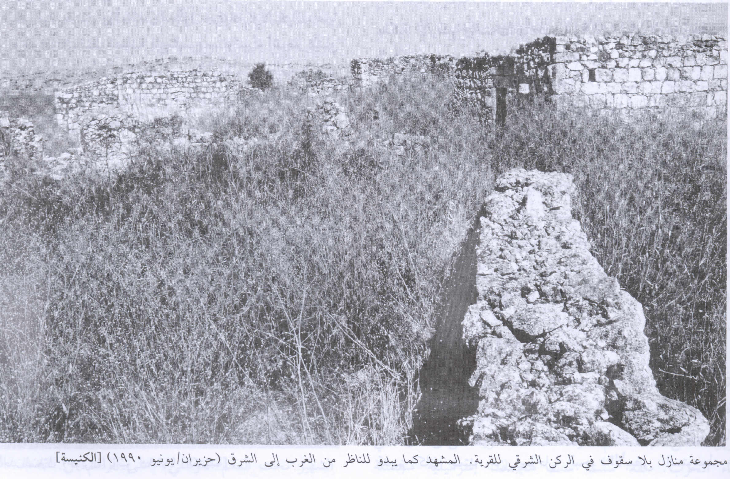صورة لقرية الكنيسة - فلسطين: : أطلال بيوت القرية المدمرة، اُنقر الصورة لتكبيرها. 1990
