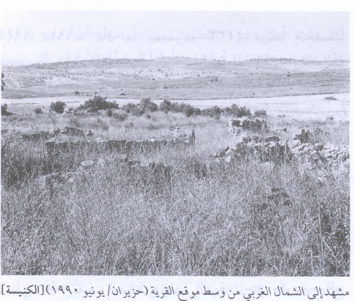 صورة لقرية الكنيسة - فلسطين: : أطلال بيوت القرية المدمرة، اُنقر الصورة لتكبيرها. 1990